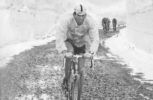 1965 Salvarani ciclismo - Vittorio Adorni